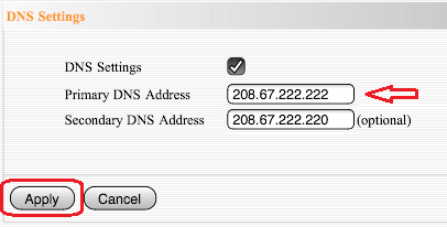 Router DNS Settings